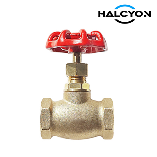 Female Threaded Globe Valve